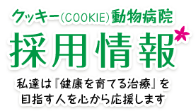 採用情報