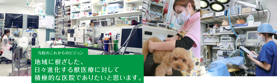 イメージカット